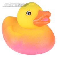 Rainbow Ducks 2"