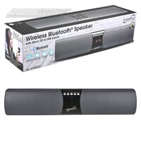 Slim Portable Speaker W/ Micro Sd And USB Inputs
